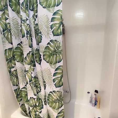 La Palmera * 德尼亚