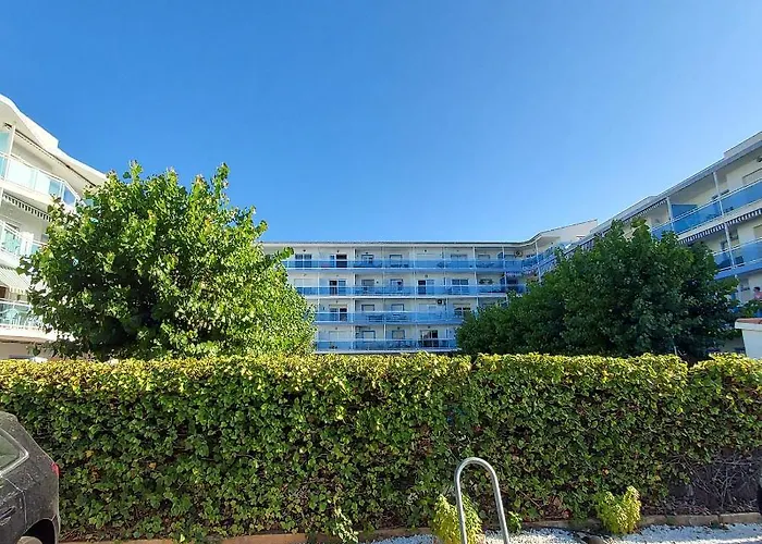 La Palmera